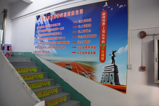 公司一角