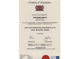 ISO9001:2008版体系认证证书